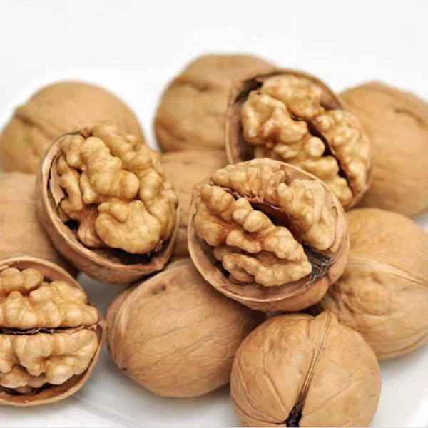 Raw YunNan Walnut dried With Shell In Bulk