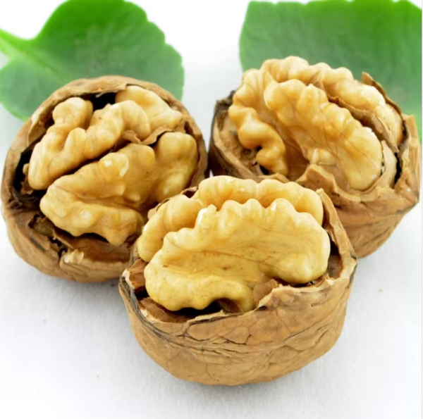 New harvest xingfu walnuts with cheaper prices